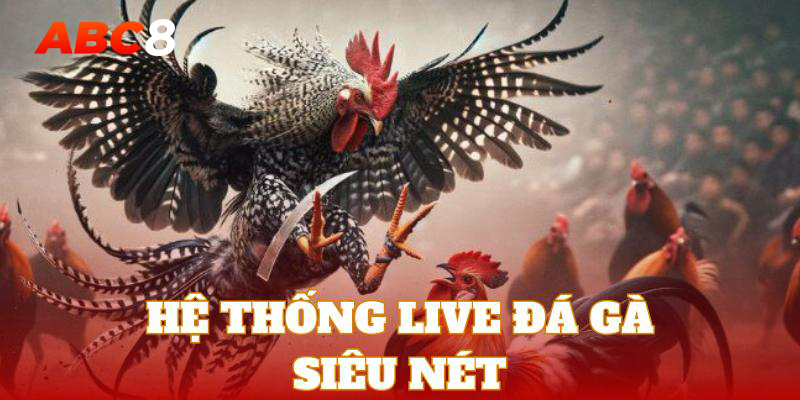 Nhà cái cung cấp hệ thống phát live chọi kê cực nét